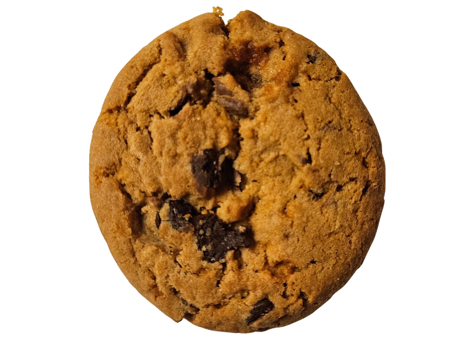 MRE UGR Chocolate Peanut Butter Cookie 3